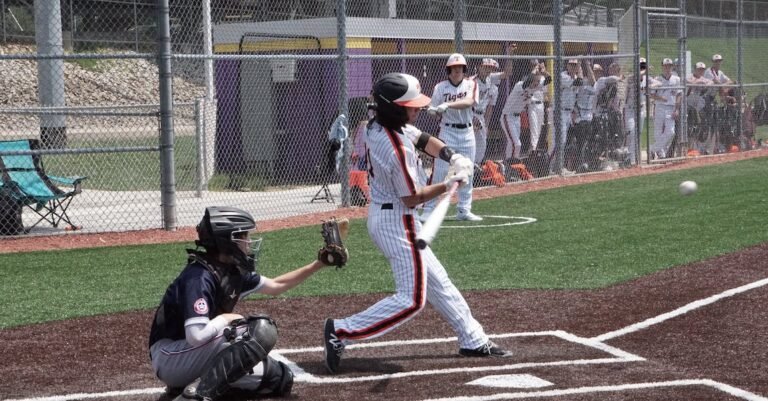 Everything You Have Ever Wanted To Know About Baseball