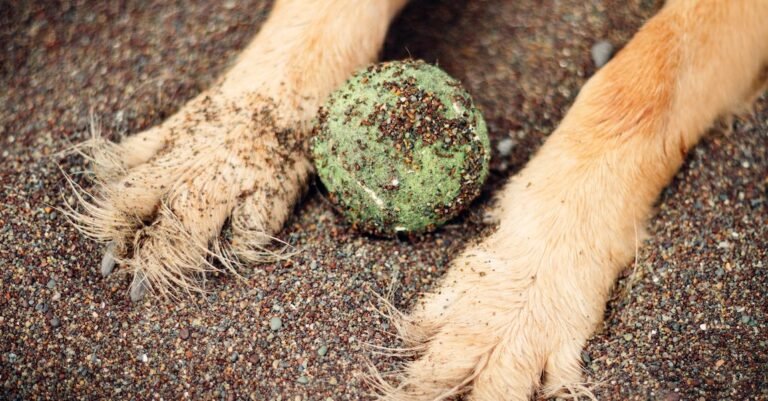 Wanting To Know About Baseball? Check This Out!