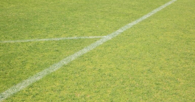 What You Should Know If You’re Going To Play Soccer